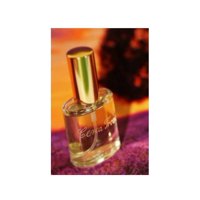 Immagine del profumo Cerca Trova di Francesco Vitelli Perfumes