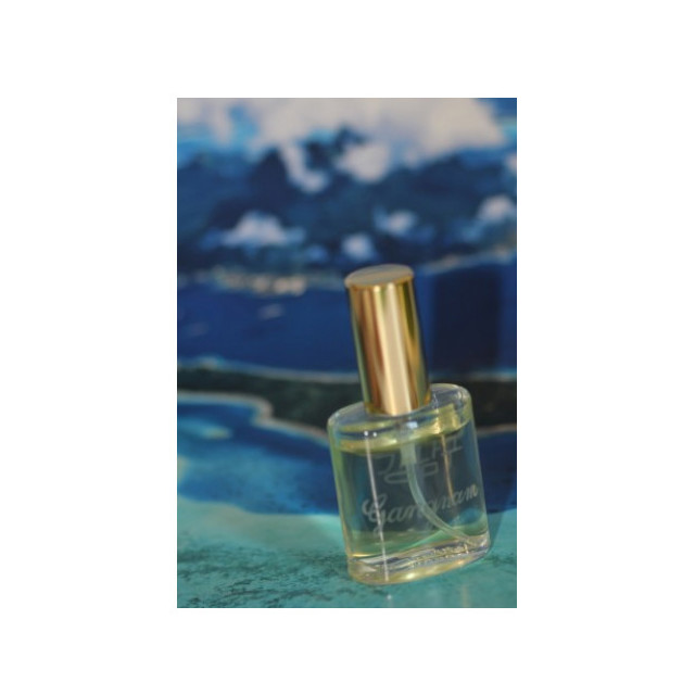 Immagine del profumo Gangnam di Francesco Vitelli Perfumes