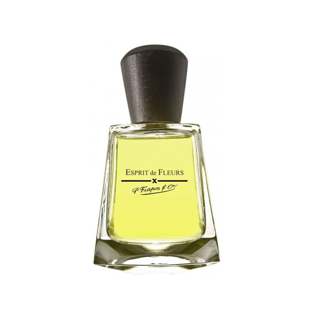 Immagine del profumo Esprit de Fleurs di Frapin