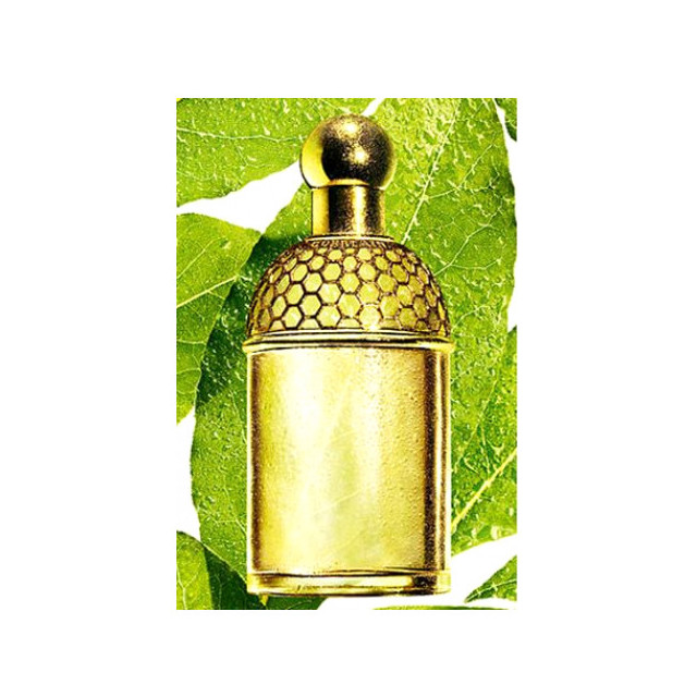 Immagine del profumo Aqua Allegoria Laurier - Reglisse di Guerlain