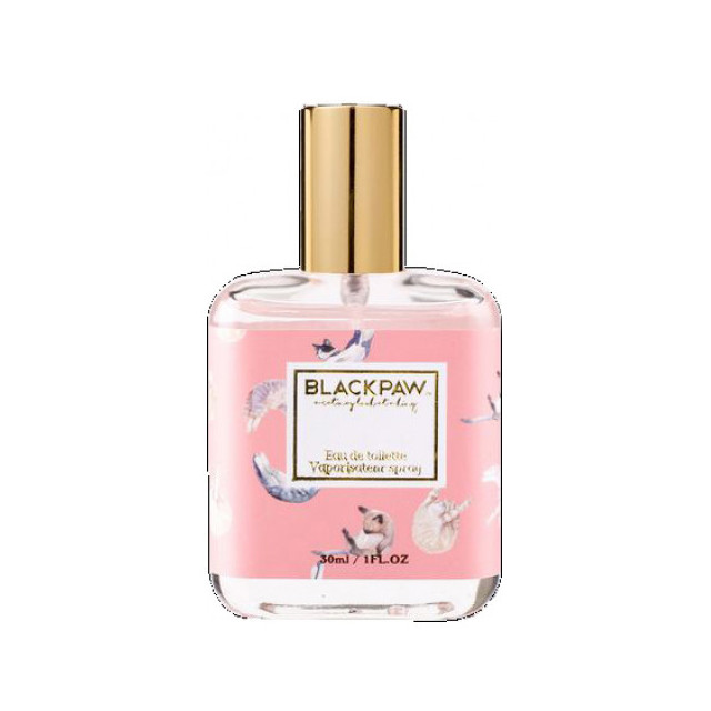 Immagine del profumo Little Milk Cat di Black Paw