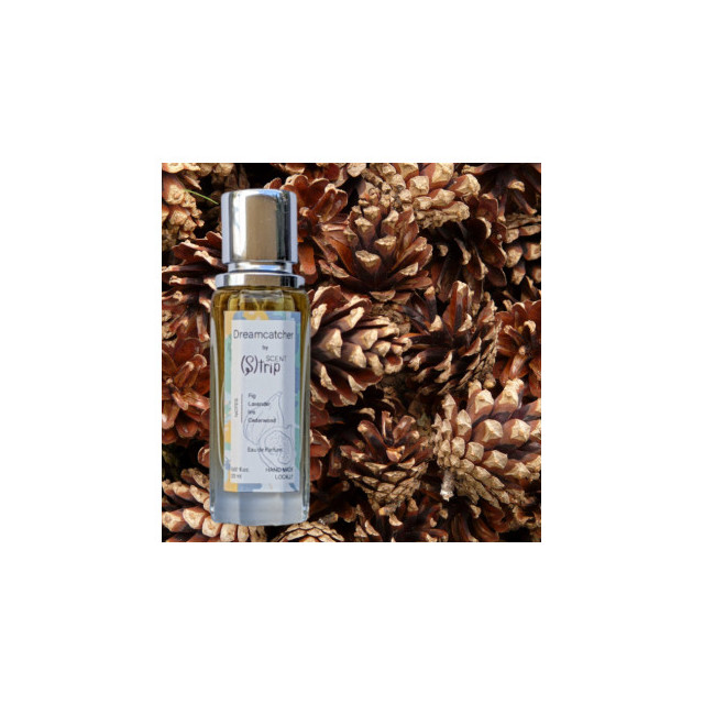Immagine del profumo Dreamcatcher di Scent (S)trip Perfume