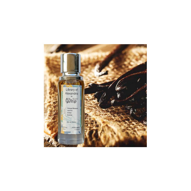 Immagine del profumo Library of Alexandria di Scent (S)trip Perfume