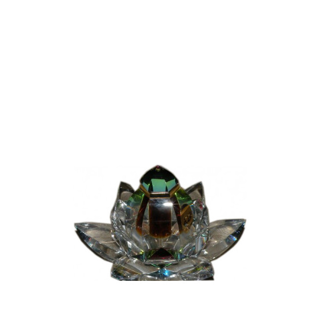 Immagine del profumo Tohfa di Arabian Oud