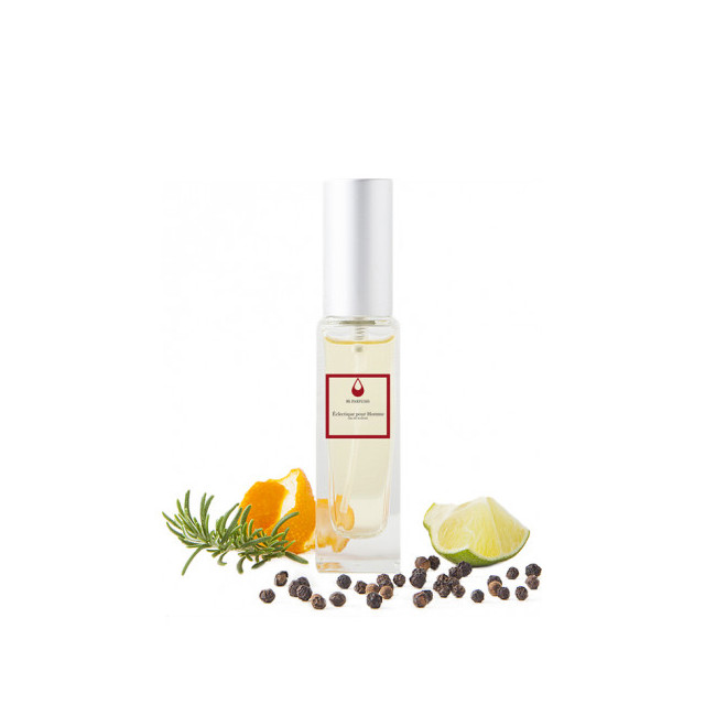 Immagine del profumo Eclectique Pour Homme di FL Parfums