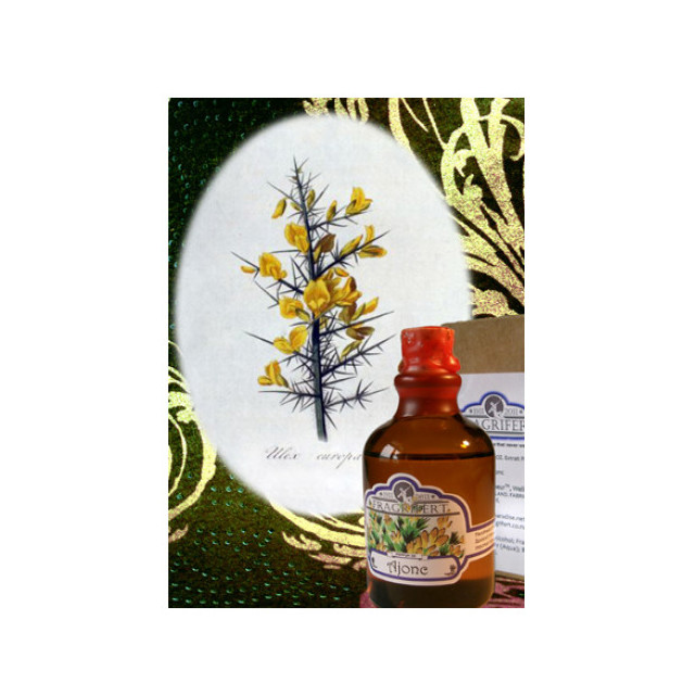 Immagine del profumo Ajonc di Fragrifert Parfumeur