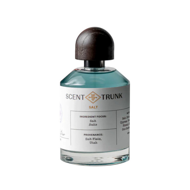 Immagine del profumo Salt di Scent Trunk