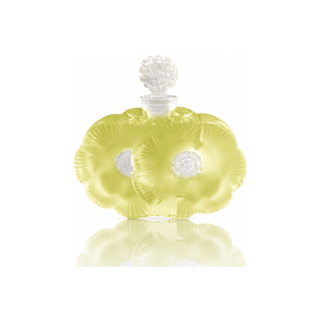 Immagine del profumo Paradis Provence di Shalini