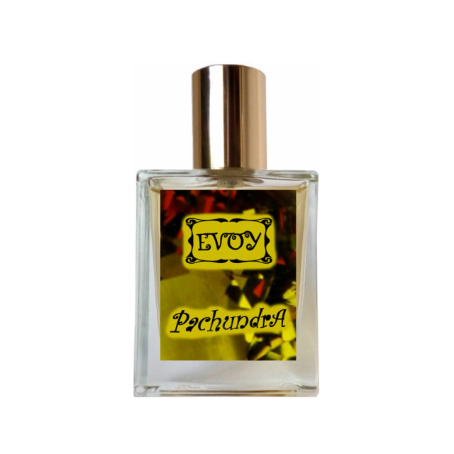 Immagine del profumo Pachundra di EVOY