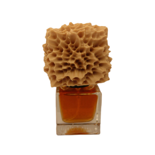 Immagine del profumo Natural History di Phronema Perfumes
