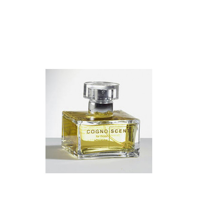 Immagine del profumo No 17 Civet Chypre di Cognoscenti