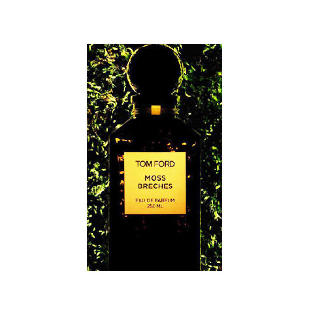 Immagine del profumo Moss Breches di Tom Ford