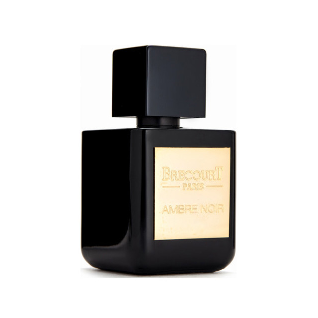 Immagine del profumo Ambre Noir di Brecourt